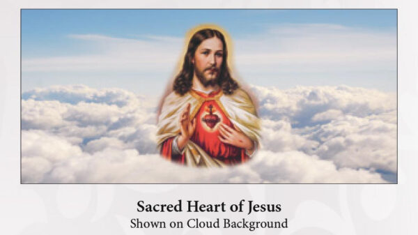 Sacred Heart of Jesus - Cap Panels